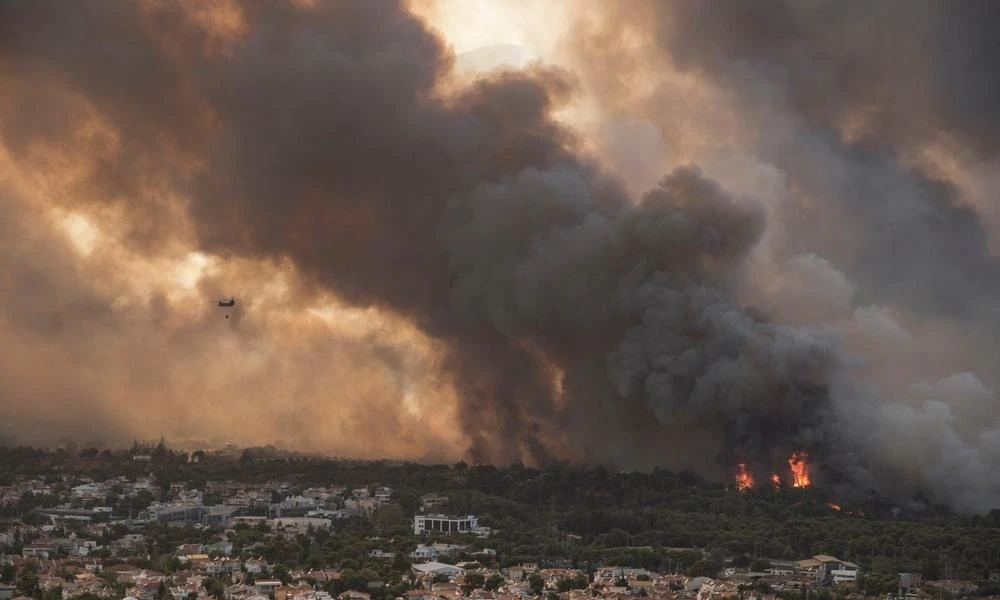 Κίνδυνος για πυρκαγιές: "Καμπανάκι" από τους επιστήμονες για τα ακαθάριστα οικόπεδα